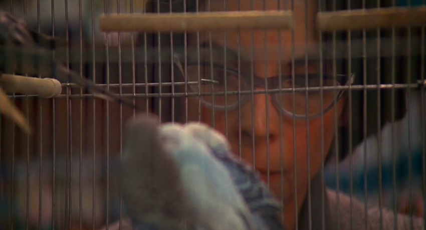 rocky-adrian-cage